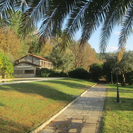 乡村民宿 Oliveira Houses